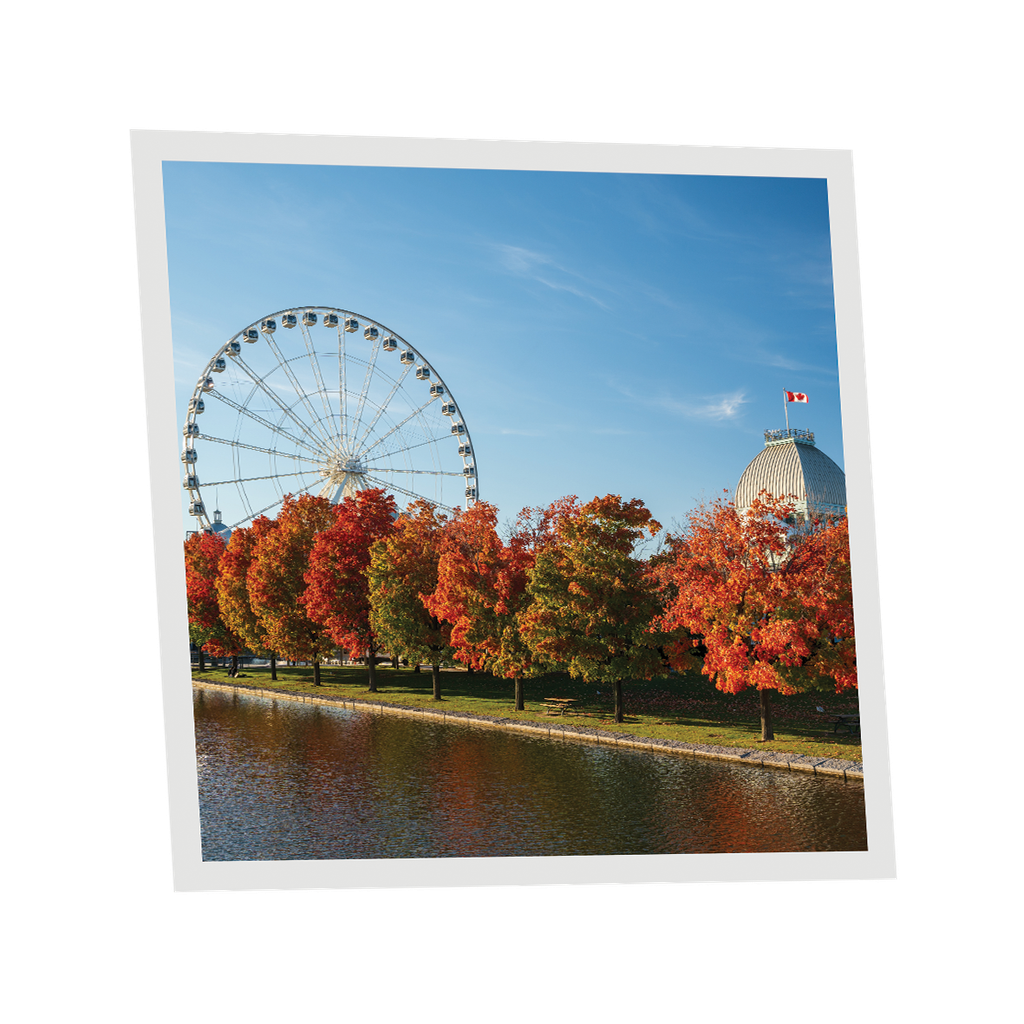 Pack 1 Dalle LED Imprimée - Montreal - 600x600mm - Usinée en France by DELITECH