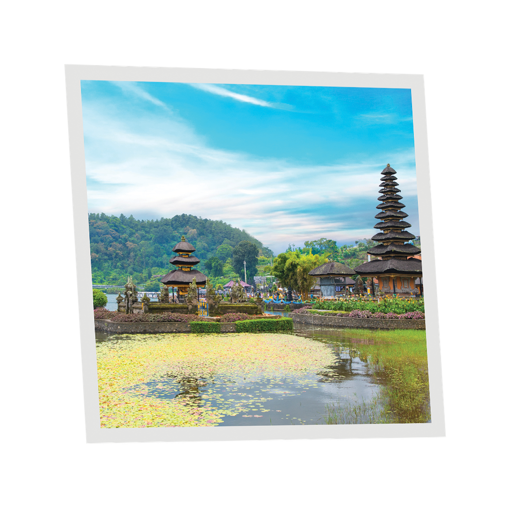 Pack 1 Dalle LED Imprimée - Bali - 600x600mm - Usinée en France by DELITECH