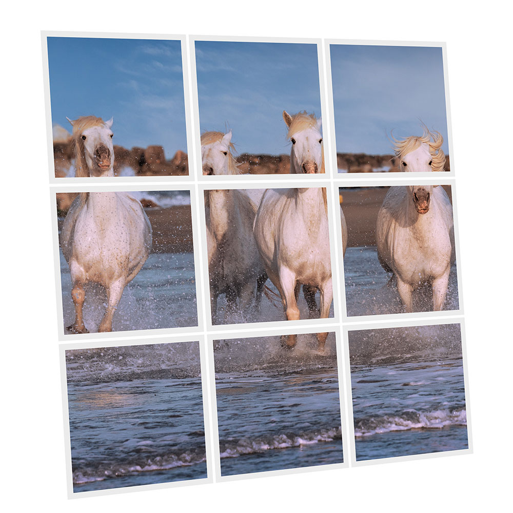 Pack 9 Dalles LED Imprimées - Horse - 600x600mm - Usinée en France by DELITECH