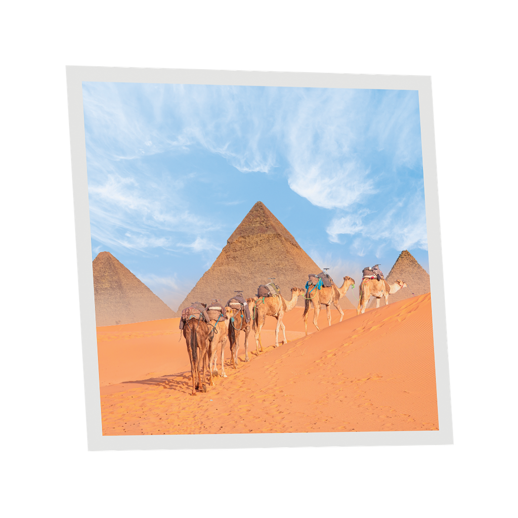Pack 1 Dalle LED Imprimée - Camel - 600x600mm - Usinée en France by DELITECH