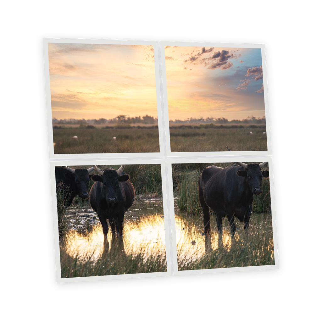 Pack 4 Dalles LED Imprimées - Bull - 600x600mm - Usinée en France by DELITECH