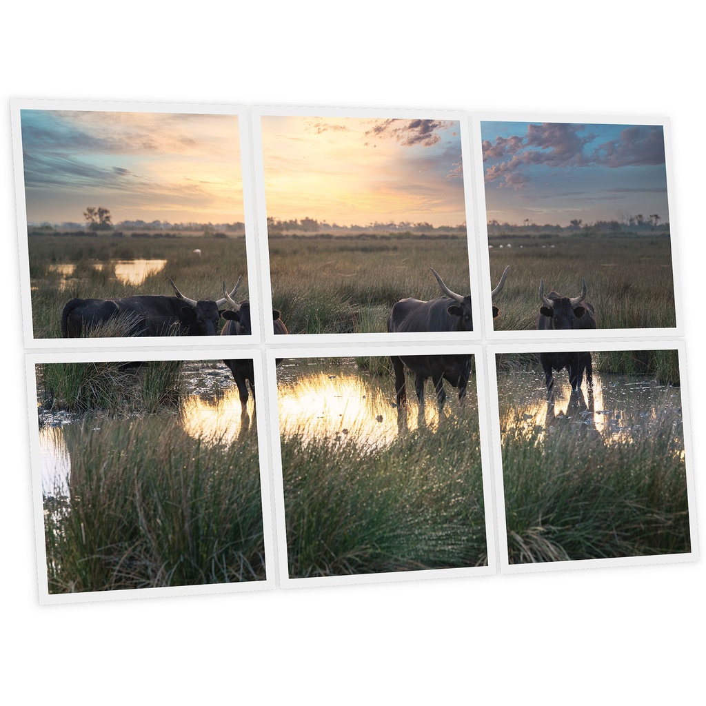 Pack 6 Dalles LED Imprimées - Bull - 600x600mm - Usinée en France by DELITECH