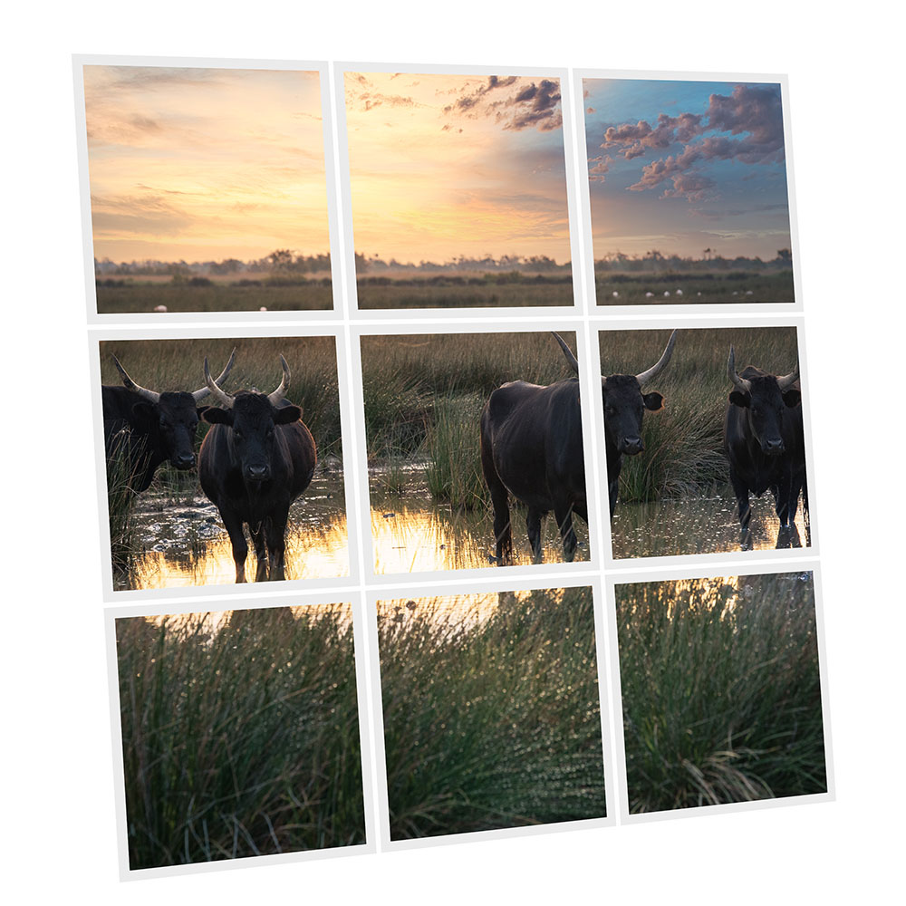 Pack 9 Dalles LED Imprimées - Bull - 600x600mm - Usinée en France by DELITECH