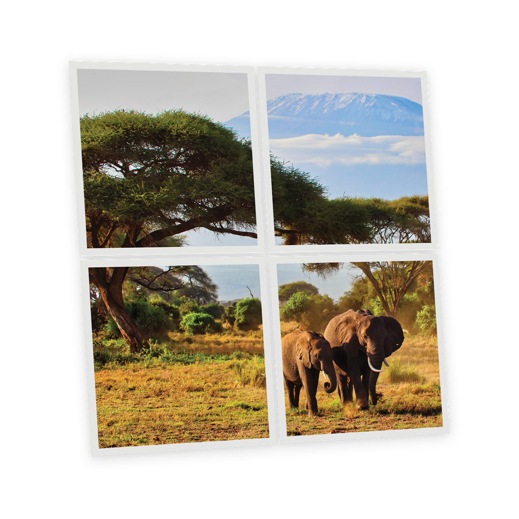 Pack 4 Dalles LED Imprimées - Elephant - 600x600mm - Usinée en France by DELITECH