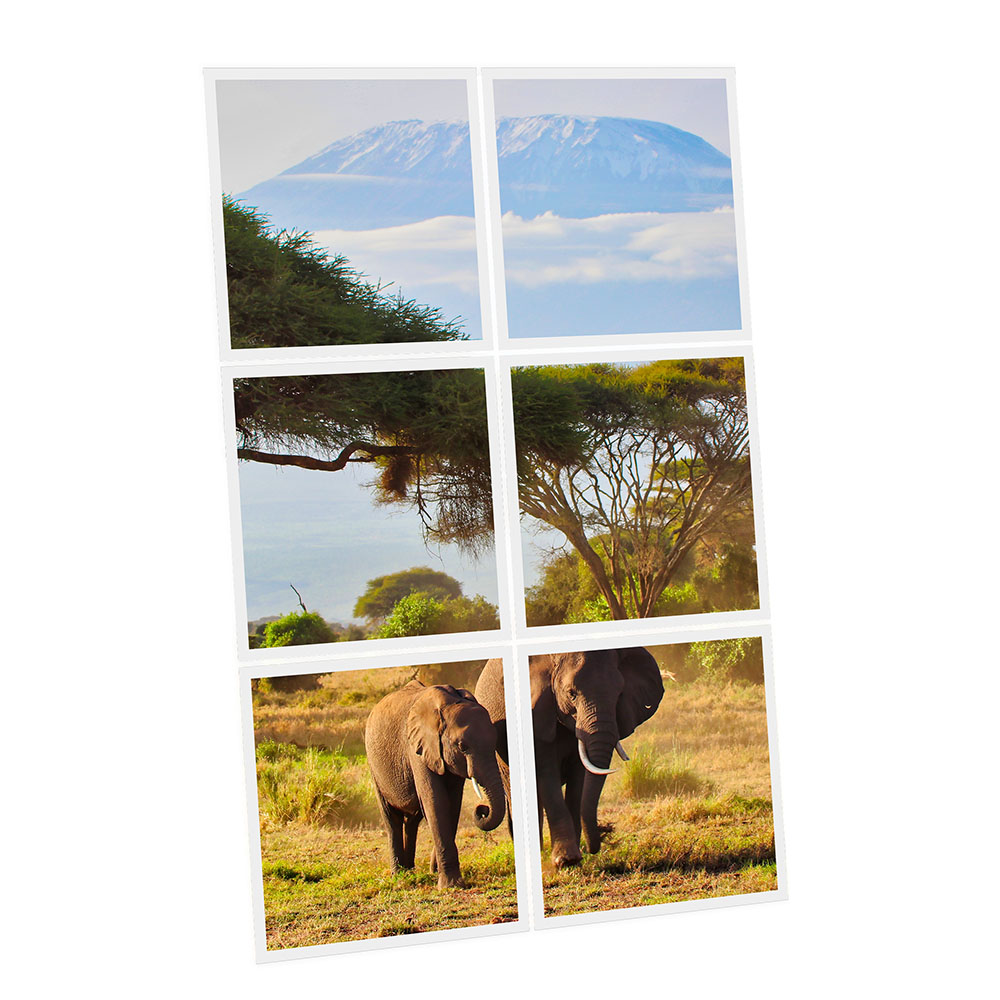 Pack 6 Dalles LED Imprimées - Elephant - 600x600mm - Usinée en France by DELITECH