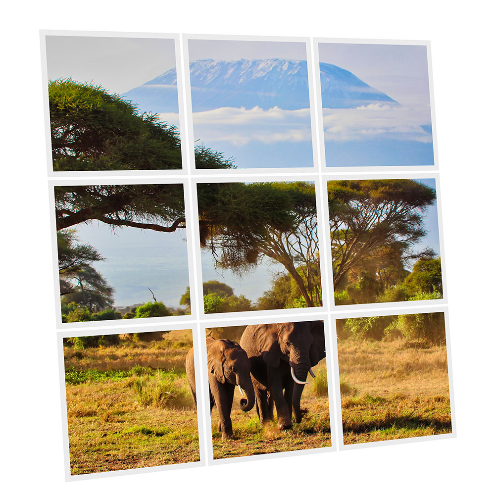 Pack 9 Dalles LED Imprimées - Elephant - 600x600mm - Usinée en France by DELITECH