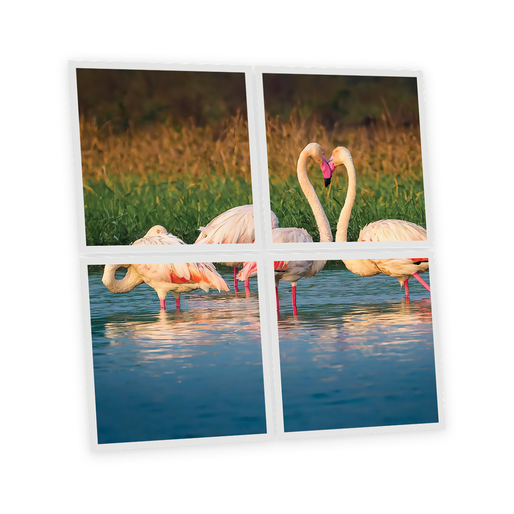 Pack 4 Dalles LED Imprimées - Flamingo - 600x600mm - Usinée en France by DELITECH