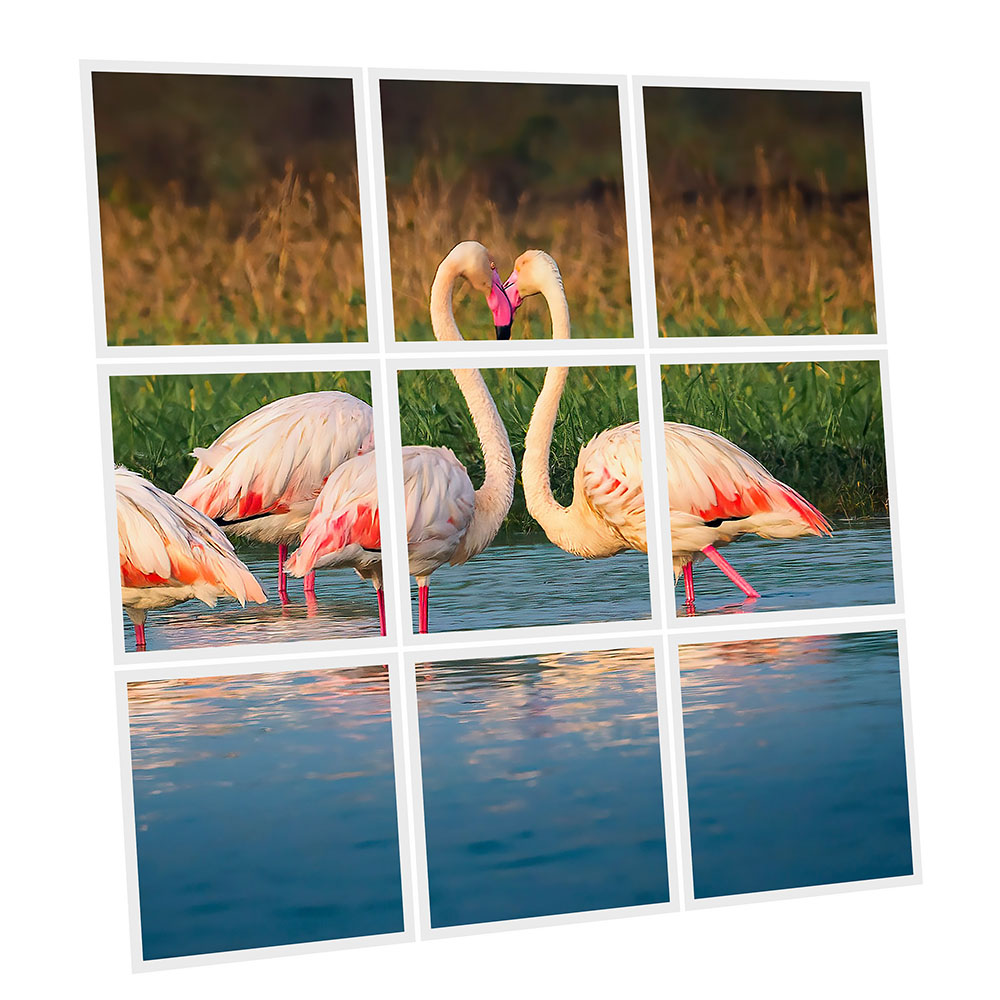 Pack 9 Dalles LED Imprimées - Flamingo - 600x600mm - Usinée en France by DELITECH