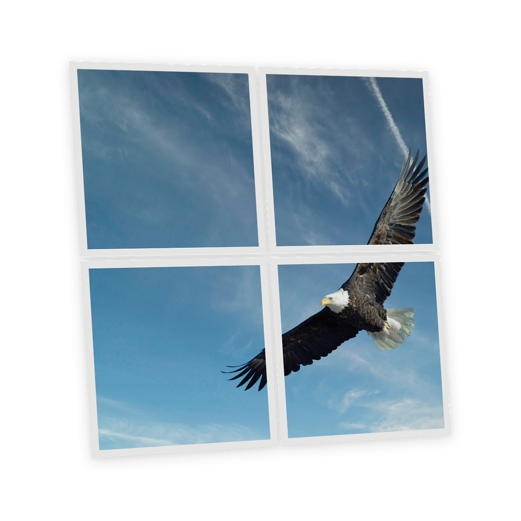 Pack 4 Dalles LED Imprimées - Eagle - 600x600mm - Usinée en France by DELITECH