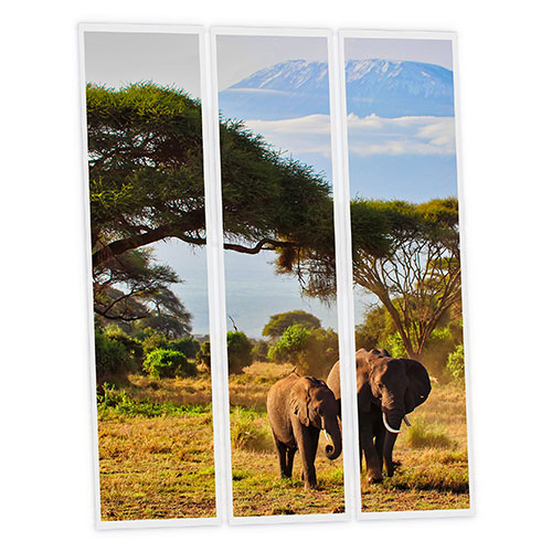 Pack 3 Dalles LED Imprimées - Elephant - 1200x300mm - Usinée en France by DELITECH