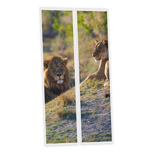 Pack 2 Dalles LED Imprimées - Lion - 1200x300mm - Usinée en France by DELITECH