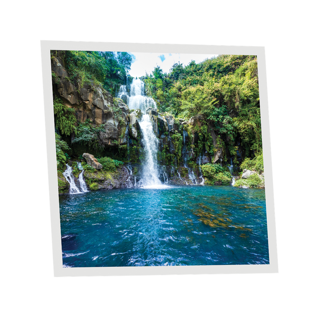 Pack 1 Dalle LED Imprimée - Reunion - 600x600mm - Usinée en France by DELITECH