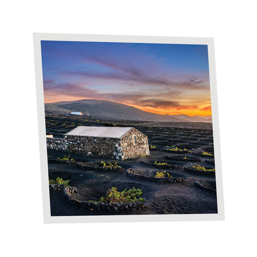 Pack 1 Dalle LED Imprimée - Canary Islands - 600x600mm - Usinée en France by DELITECH