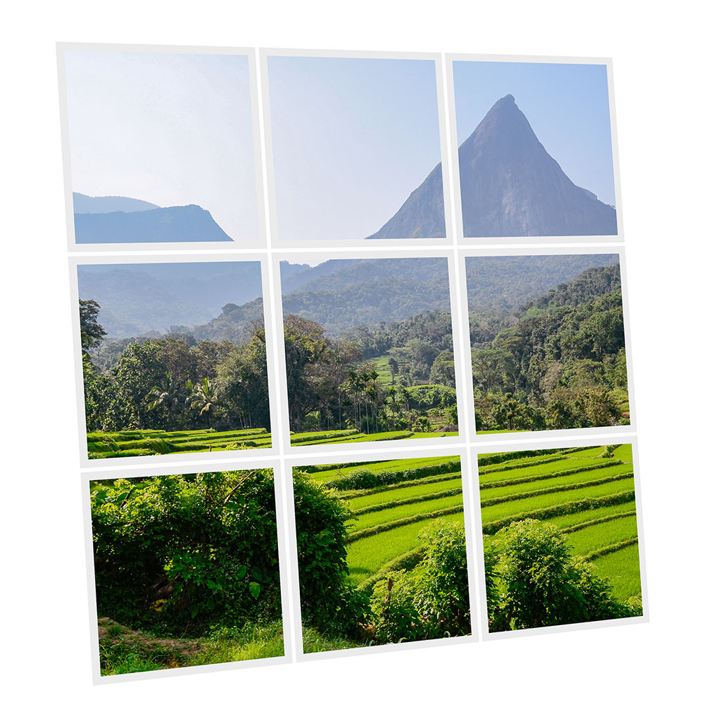 Pack 9 Dalles LED Imprimées - Sri Lanka - 600x600mm - Usinée en France by DELITECH