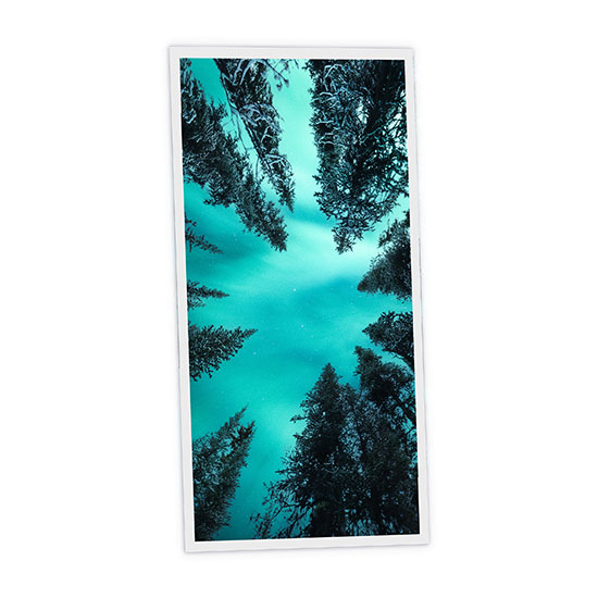 Pack 1 Dalle LED Imprimée verticale - Fir Tree - 1200x600mm - Usinée en France by DELITECH