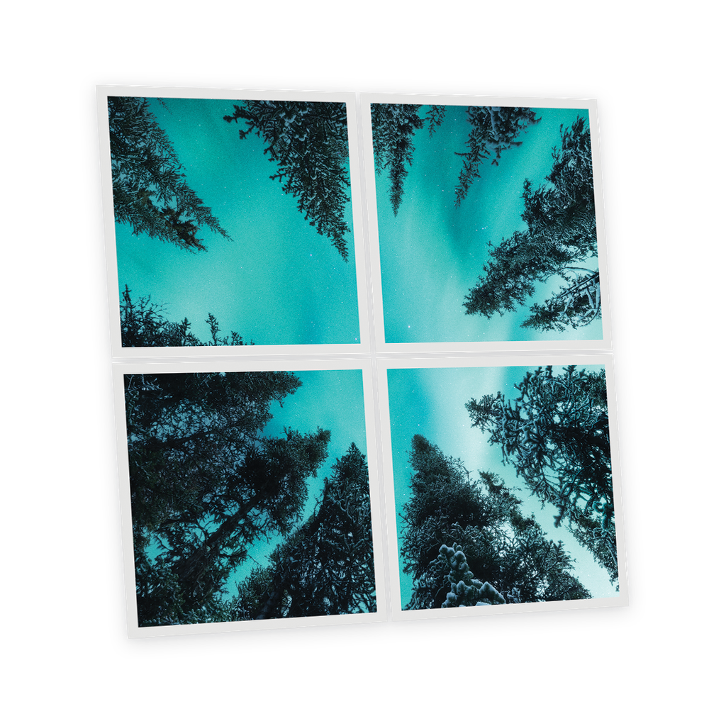 Pack 4 Dalles LED Imprimées - Fir Tree - 600x600mm - Usinée en France by DELITECH