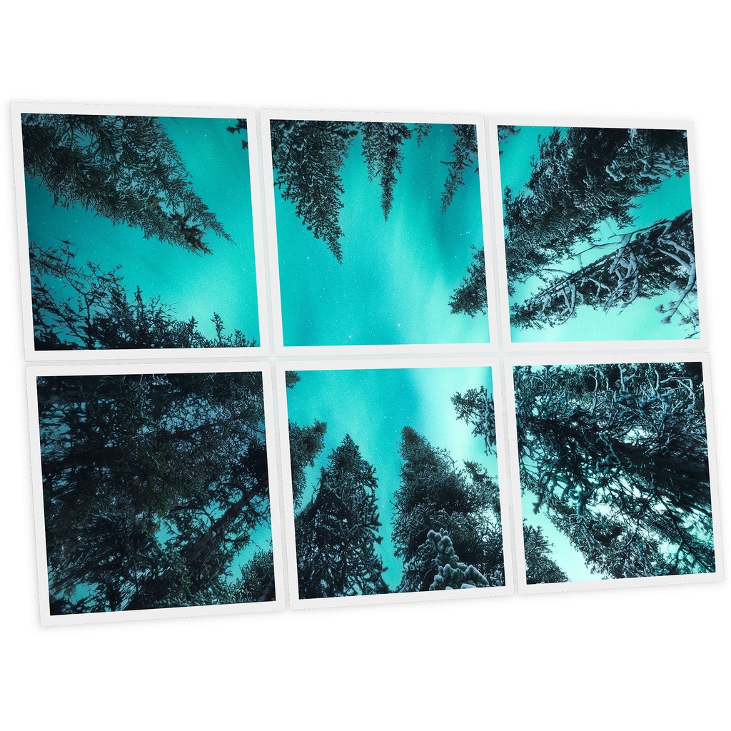 Pack 6 Dalles LED Imprimées - Fir Tree - 600x600mm - Usinée en France by DELITECH