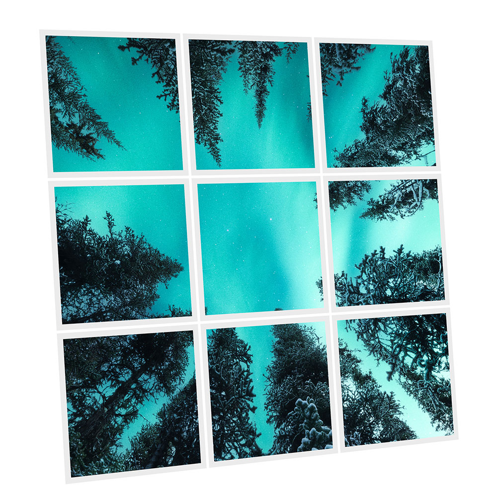 Pack 9 Dalles LED Imprimées - Fir Tree - 600x600mm - Usinée en France by DELITECH
