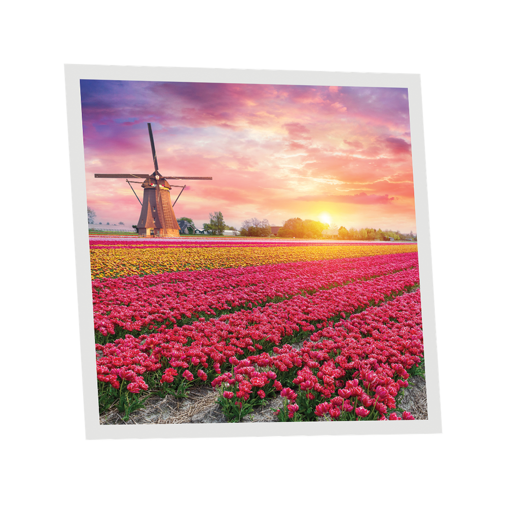 Pack 1 Dalle LED Imprimée - Tulips - 600x600mm - Usinée en France by DELITECH