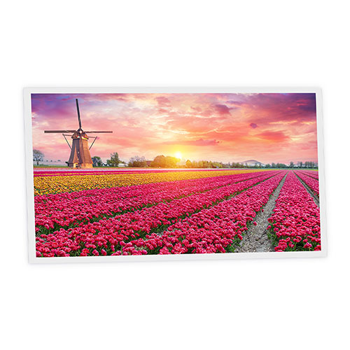 Pack 1 Dalle LED Imprimée horizontale - Tulips - 1200x600mm - Usinée en France by DELITECH