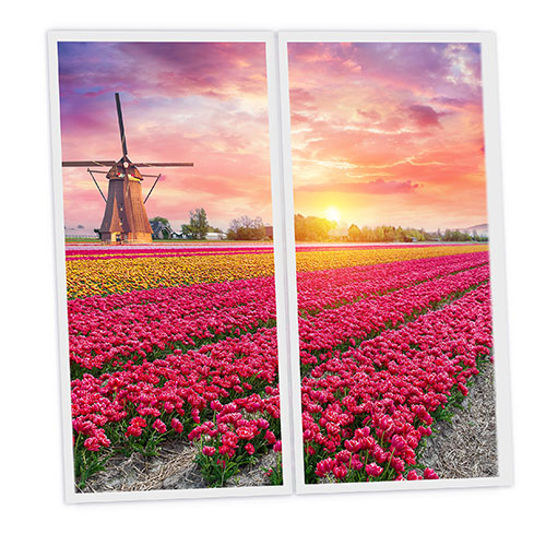 Pack 2 Dalles LED Imprimées - Tulips - 1200x600mm - Usinée en France by DELITECH