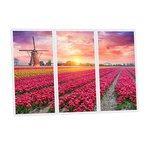 Pack 3 Dalles LED Imprimées - Tulips - 1200x600mm - Usinée en France by DELITECH