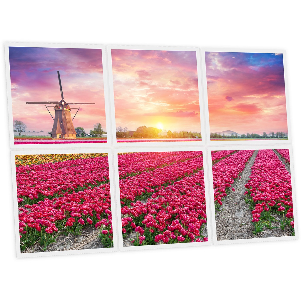Pack 6 Dalles LED Imprimées - Tulips - 600x600mm - Usinée en France by DELITECH