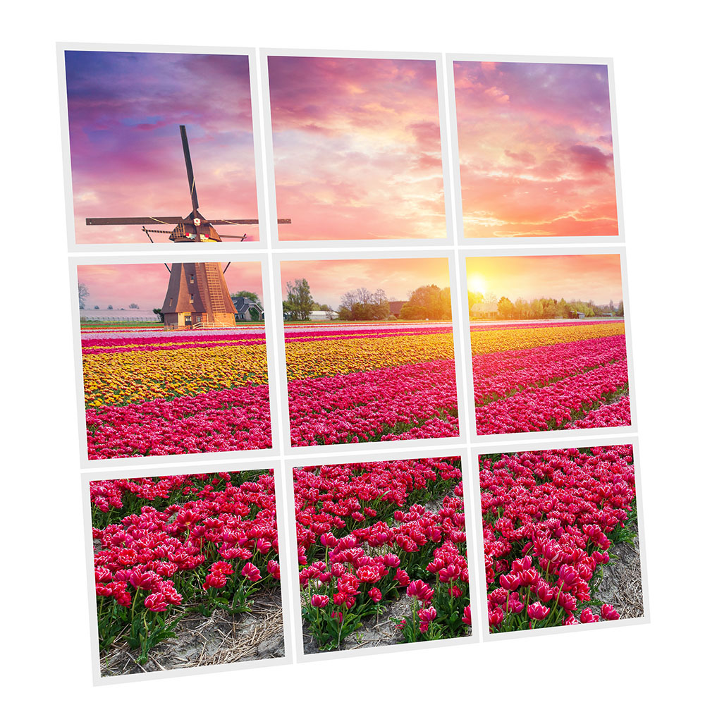 Pack 9 Dalles LED Imprimées - Tulips - 600x600mm - Usinée en France by DELITECH