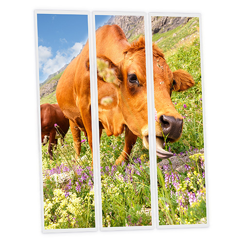 Pack 3 Dalles LED Imprimées - Meadow - 1200x300mm - Usinée en France by DELITECH