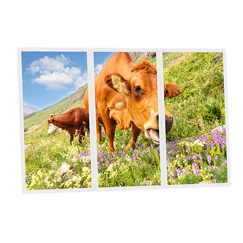 Pack 3 Dalles LED Imprimées - Meadow - 1200x600mm - Usinée en France by DELITECH