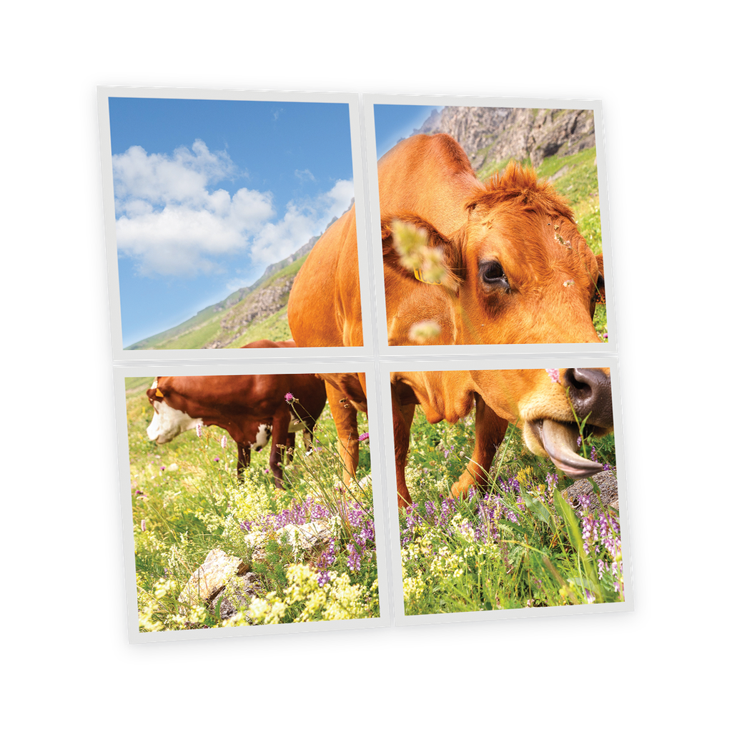 Pack 4 Dalles LED Imprimées - Meadow - 600x600mm - Usinée en France by DELITECH