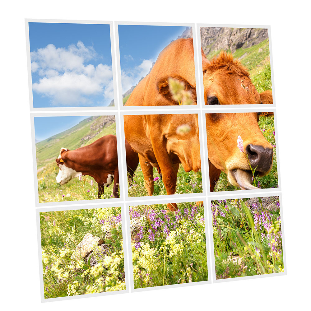 Pack 9 Dalles LED Imprimées - Meadow - 600x600mm - Usinée en France by DELITECH