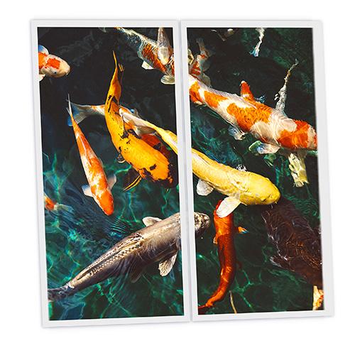 Pack 2 Dalles LED Imprimées - Fish - 1200x600mm - Usinée en France by DELITECH