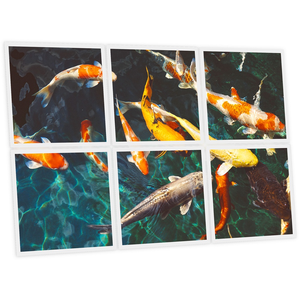 Pack 6 Dalles LED Imprimées - Fish - 600x600mm - Usinée en France by DELITECH