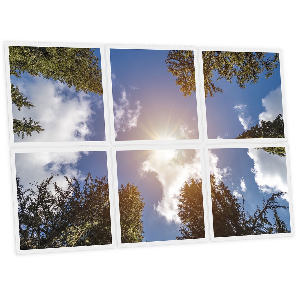 Pack 6 Dalles LED Imprimées - Day - 600x600mm - Usinée en France by DELITECH