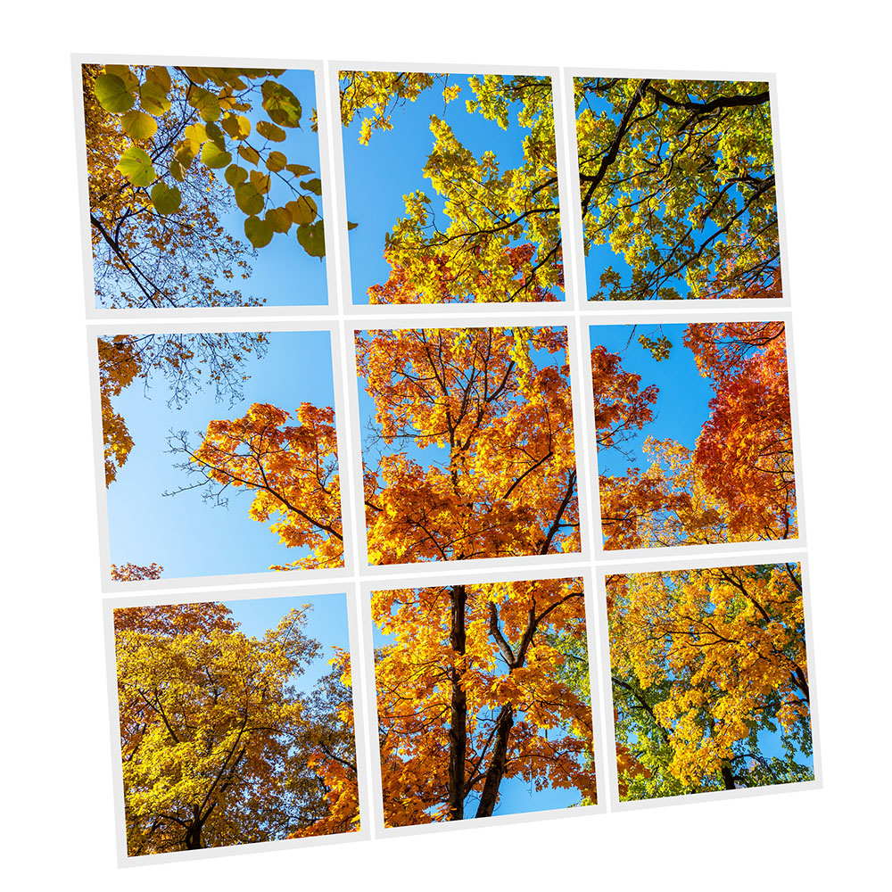 Pack 9 Dalles LED Imprimées - Fall - 600x600mm - Usinée en France by DELITECH