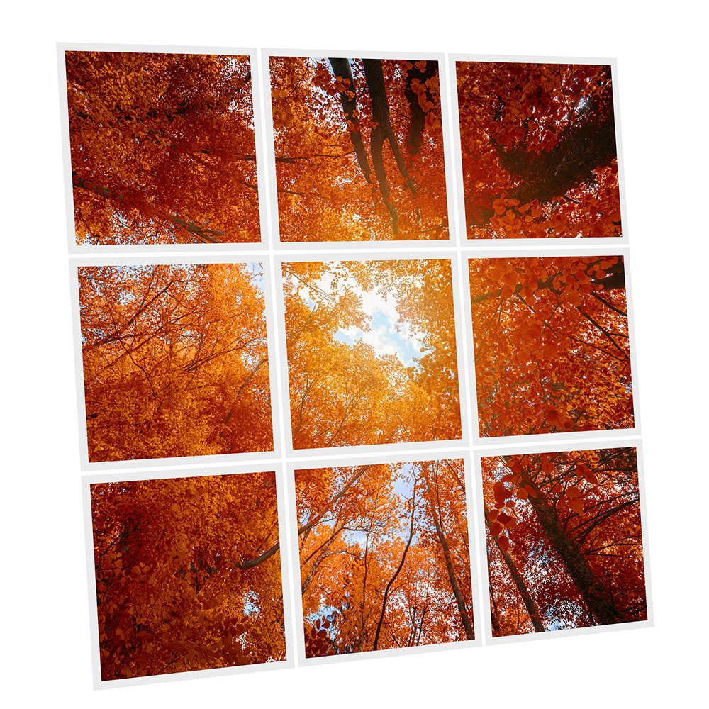Pack 9 Dalles LED Imprimées - Red Tree - 600x600mm - Usinée en France by DELITECH