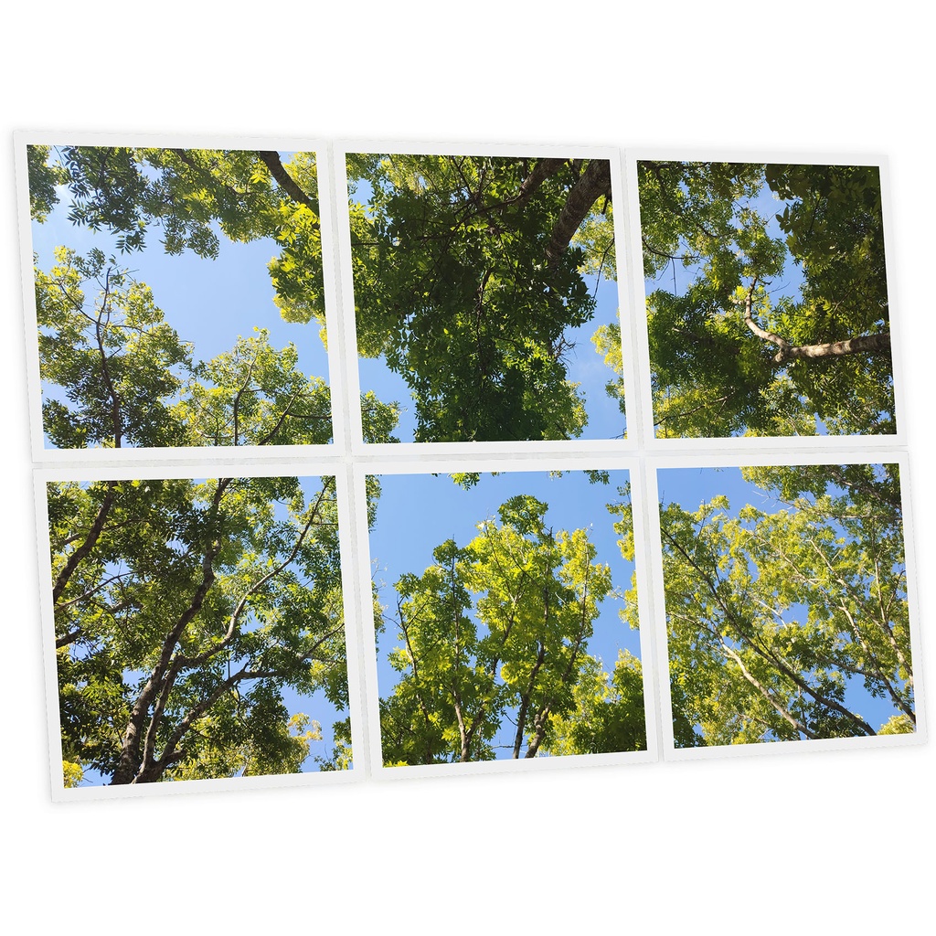 Pack 6 Dalles LED Imprimées - Summer - 600x600mm - Usinée en France by DELITECH