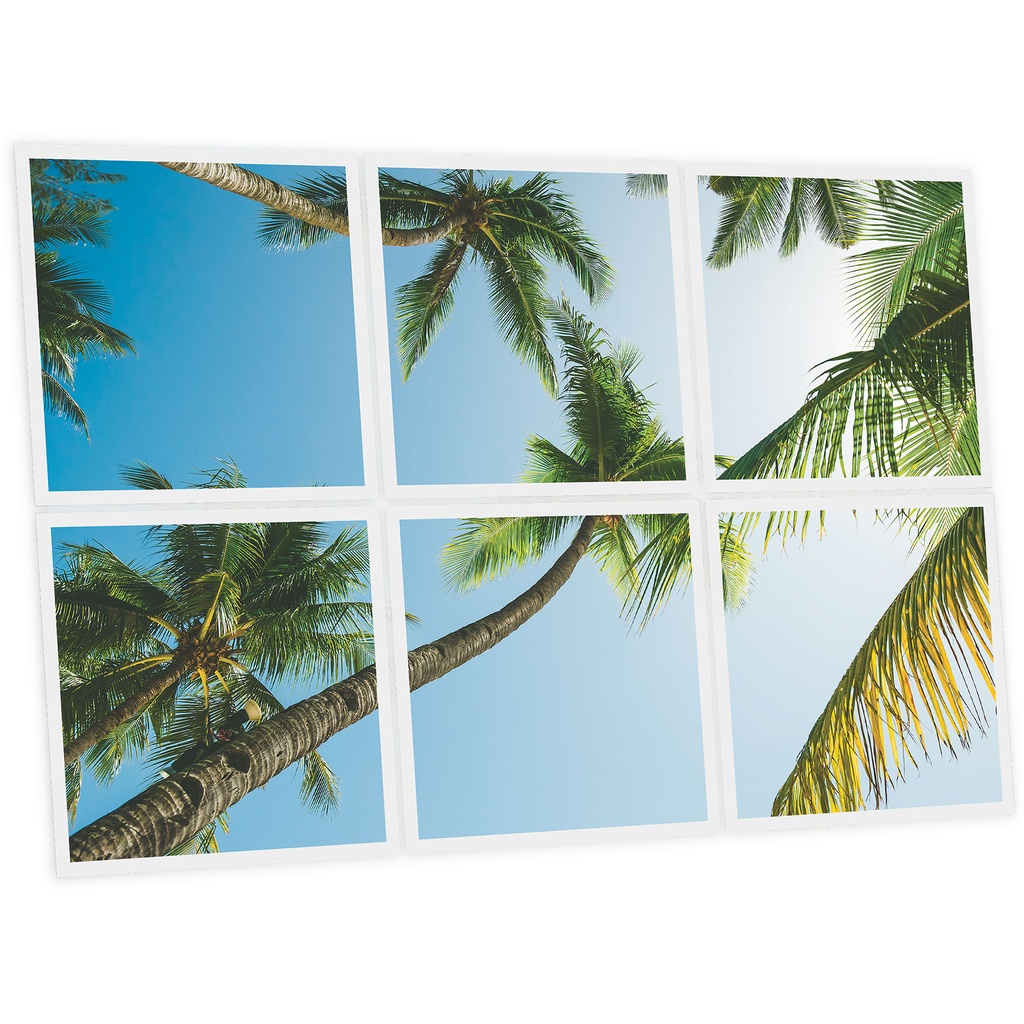 Pack 6 Dalles LED Imprimées - Palm - 600x600mm - Usinée en France by DELITECH
