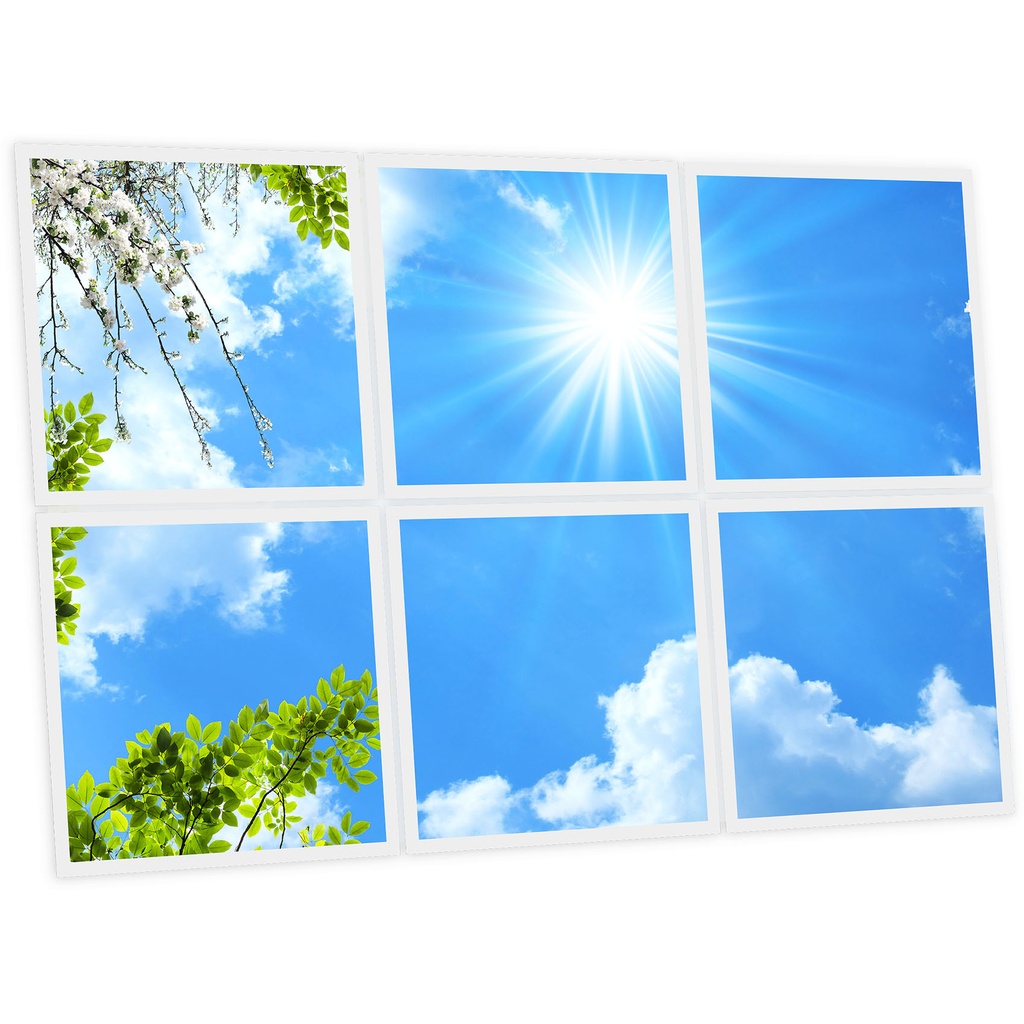 Pack 6 Dalles LED Imprimées - Spring - 600x600mm - Usinée en France by DELITECH