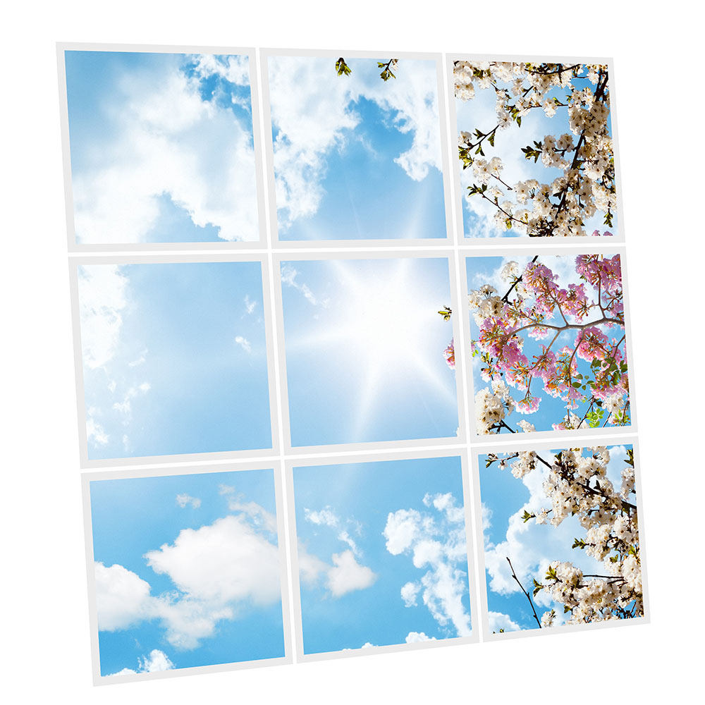 Pack 9 Dalles LED Imprimées - Flowers - 600x600mm - Usinée en France by DELITECH