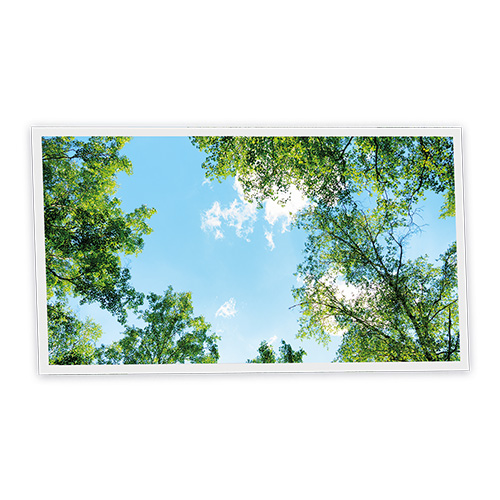 Pack 1 Dalle LED Imprimée horizontale - Garrigue - 1200x600mm - Usinée en France by DELITECH