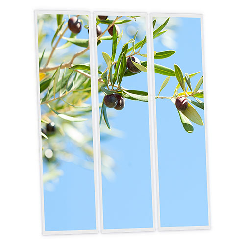 Pack 3 Dalles LED Imprimées - Olive - 1200x300mm - Usinée en France by DELITECH