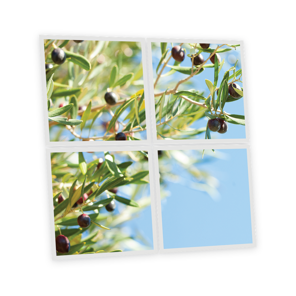 Pack 4 Dalles LED Imprimées - Olive - 600x600mm - Usinée en France by DELITECH