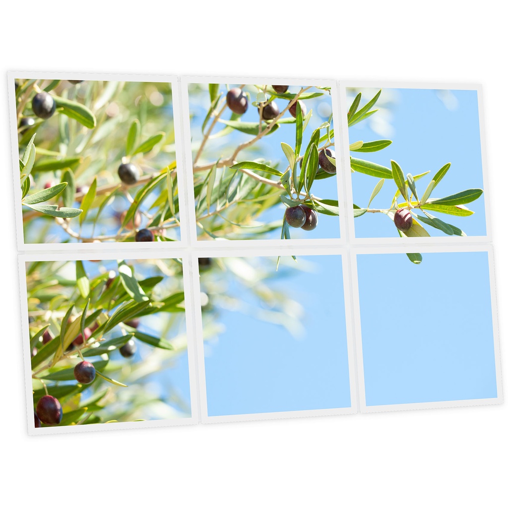 Pack 6 Dalles LED Imprimées - Olive - 600x600mm - Usinée en France by DELITECH