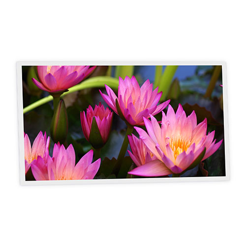 Pack 1 Dalle LED Imprimée horizontale - Aquatic plant - 1200x600mm - Usinée en France by DELITECH