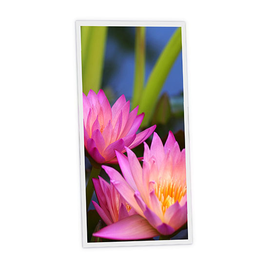 Pack 1 Dalle LED Imprimée verticale - Aquatic plant - 1200x600mm - Usinée en France by DELITECH