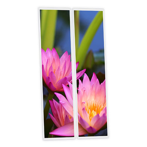Pack 2 Dalles LED Imprimées - Aquatic plant - 1200x300mm - Usinée en France by DELITECH