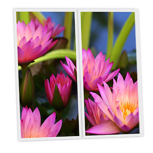Pack 2 Dalles LED Imprimées - Aquatic plant - 1200x600mm - Usinée en France by DELITECH