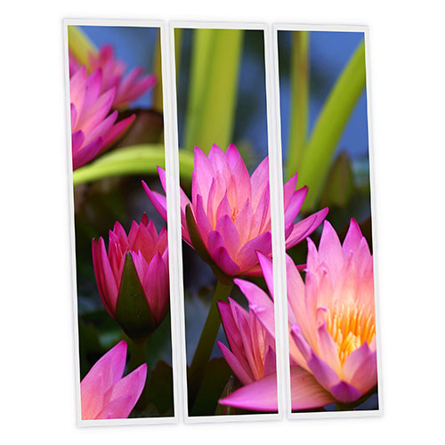 Pack 3 Dalles LED Imprimées - Aquatic plant - 1200x300mm - Usinée en France by DELITECH